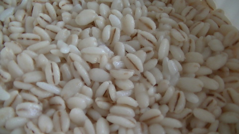 898168d6.jpg