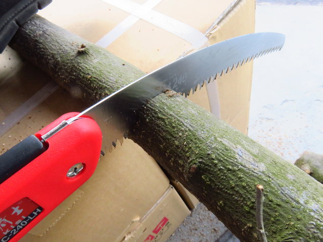 この鋸はよく切れる！薪の切り出しがかなり楽になりました。【神沢精工 （サムライ）騎士240mm】庭木の剪定にも！ : ちょい買い雑記帳
