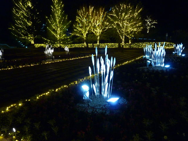 ややスケールは小さいが 国営 武蔵丘陵 森林公園のイルミネーションが意外と楽しめたので 写真で紹介 ちょい買い雑記帳