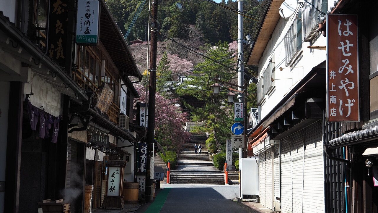 奈良 長谷寺の枝垂れ桜が見頃 京都のチョイ悪主婦日記 奈良 長谷寺の枝垂れ桜が見頃 京都のチョイ悪主婦日記