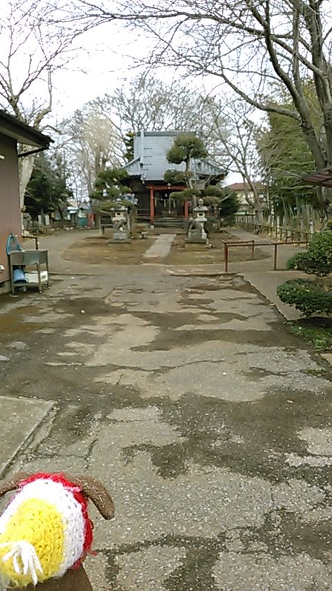livedoor