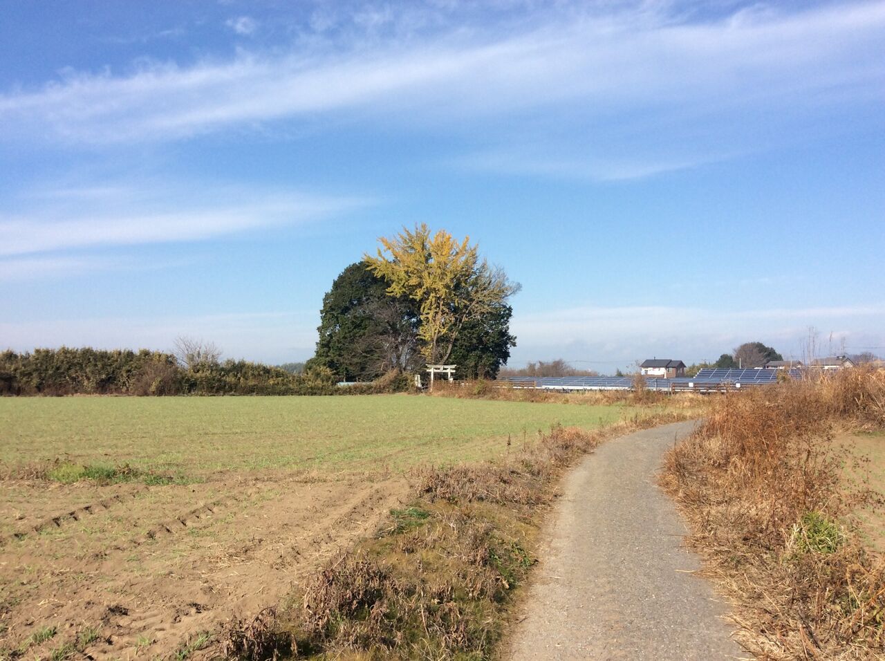藤岡城跡 〜花岡城〜 『平将門公伝説 栃木県栃木市藤岡町編』 合気道月光流道場長・チョコ助と伊東健治の公式ブログ 「骸(むくろ)をつけていま一戦(ひといくさ)せん！！」