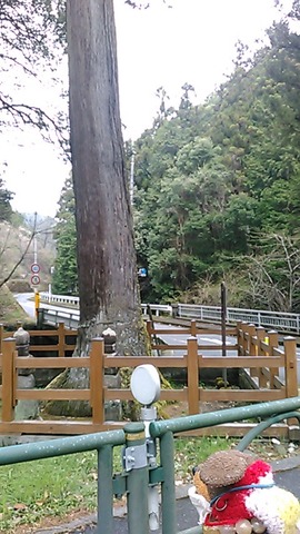 佐藤塚 将門の残党 平将門公伝説 東京都青梅市編 合気道月光流道場長 チョコ助と伊東健治の公式ブログ 骸 むくろ をつけていま一戦 ひといくさ せん