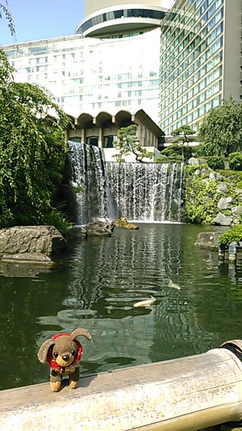 ホテルニューオータニの 清泉池 東京のオススメパワースポット 合気道月光流道場長 チョコ助と伊東健治の公式ブログ 骸 むくろ をつけていま一戦 ひといくさ せん