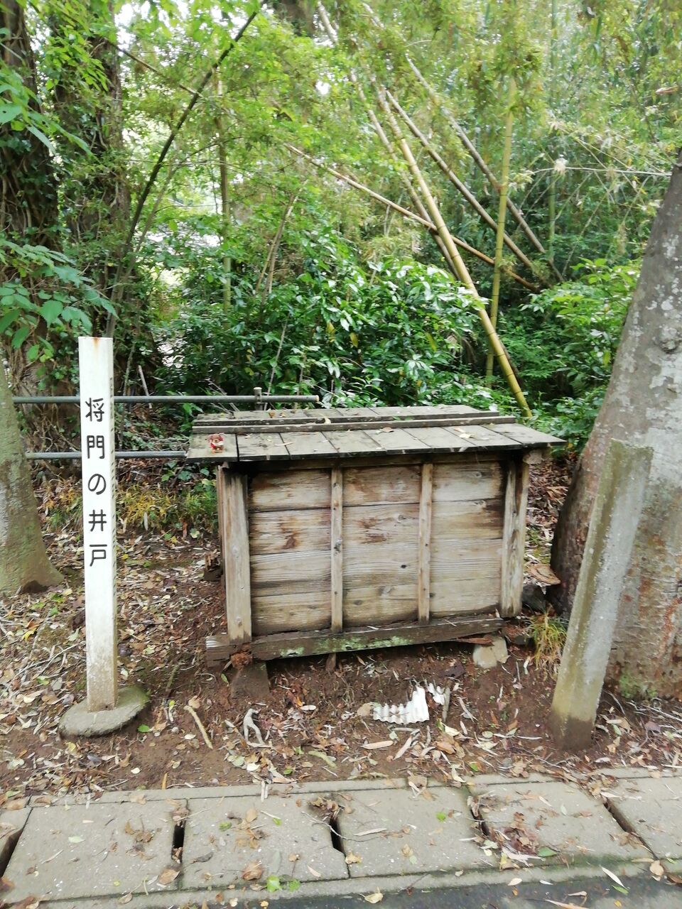 将門の井戸 平将門公伝説 千葉県印西市編 合気道月光流道場長 チョコ助と伊東健治の公式ブログ 骸 むくろ をつけていま一戦 ひといくさ せん