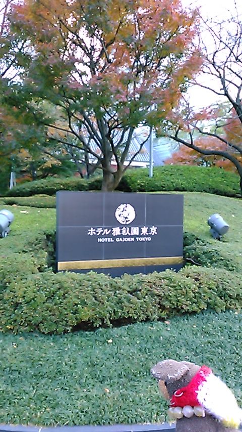 ホテル 雅叙園 東京 東京のオススメパワースポット 龍特集 合気道月光流道場長 チョコ助と伊東健治の公式ブログ 骸 むくろ をつけていま一戦 ひといくさ せん