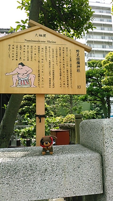 野見宿禰神社 相撲の神様 東京パワースポット 合気道月光流道場長 チョコ助と伊東健治の公式ブログ 骸 むくろ をつけていま一戦 ひといくさ せん