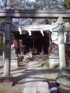 東京のパワースポット 赤坂氷川神社 その 合気道月光流道場長 チョコ助と伊東健治の公式ブログ 骸 むくろ をつけていま一戦 ひといくさ せん 東京のパワースポット 赤坂氷川神社 その 合気道月光流道場長 チョコ助と伊東健治の公式ブログ 骸 むくろ をつけていま一戦 ひといくさ せん