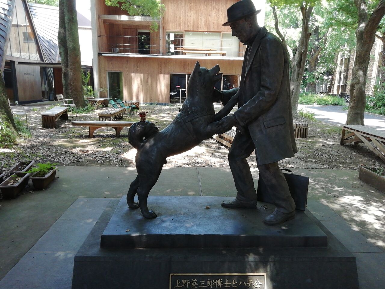 東京大学農学資料館 ～上野英三郎博士とハチ公像～ ❮忠犬ハチ公聖地