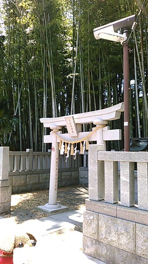 不知八幡森 八幡の藪知らず 千葉県の心霊スポット 合気道月光流道場長 チョコ助と伊東健治の公式ブログ 骸 むくろ をつけていま一戦 ひといくさ せん 不知八幡森 八幡の藪知らず 千葉県の心霊スポット 合気道月光流道場長 チョコ助と伊東健治の公式ブログ 骸 むくろ をつけていま一戦 ひといくさ せん