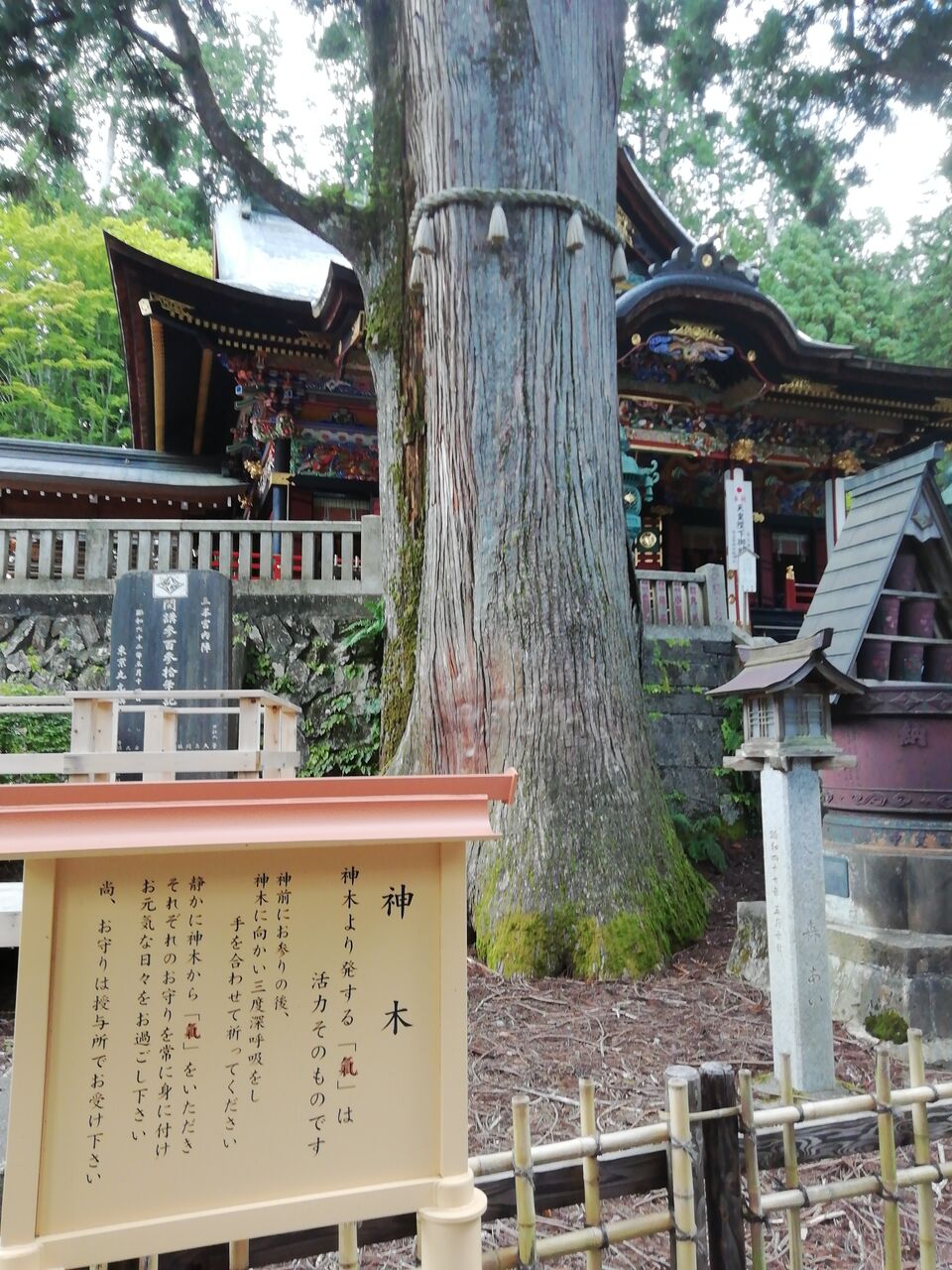 三峯神社 秩父市のパワースポット 合気道月光流道場長 チョコ助と伊東健治の公式ブログ 骸 むくろ をつけていま一戦 ひといくさ せん