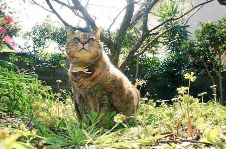 46E61199-08BA-45C8-8047-7027E1DD6152