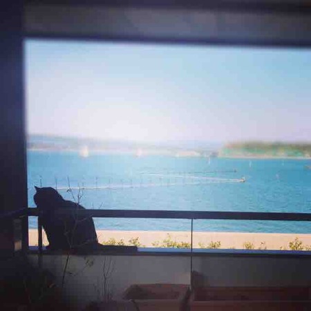 846E876B-ED7D-4FD0-BD94-2A312FC292C6