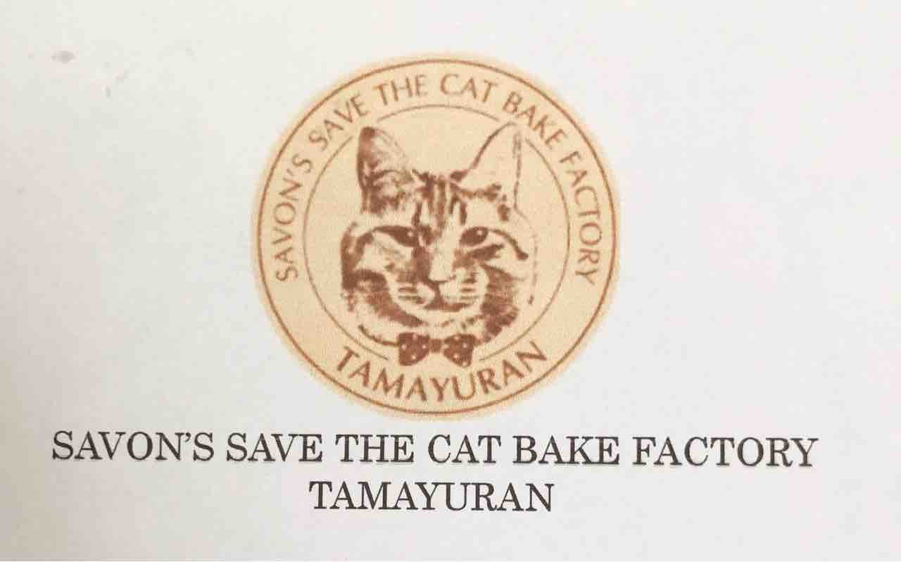 最近の甘いもの事情まとめ 着物猫無し Chokoとチョコと