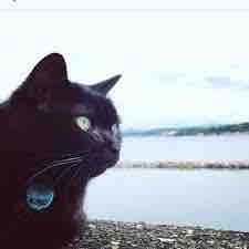 44AF3320-C842-4D6F-B967-B5A391A6D0E0