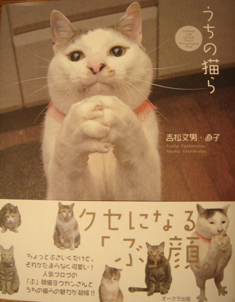 うちの猫ら の ヨウカンさんだ Chokoとチョコと