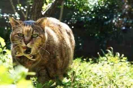 4D22FC6F-869C-4B13-A511-6674E8DDC8E3