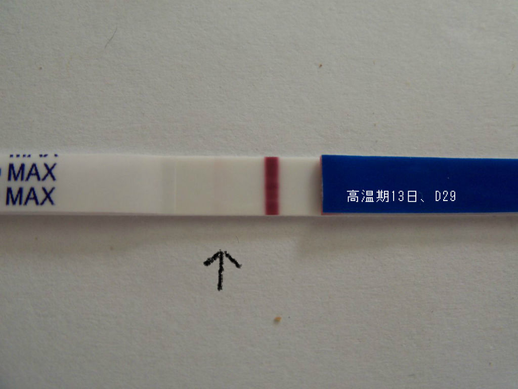 高温期13日目 血液検査とファミリードクターの予約 アラフィフの妊活日記