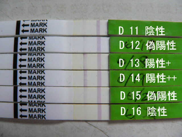 高温期8日目 アラフィフの妊活日記 高温期8日目 アラフィフの妊活日記