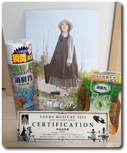 エステー 赤毛のアン ミュージカルチケット当選 観に行ってきた感想 ちょこっとプラスで素敵な生活を
