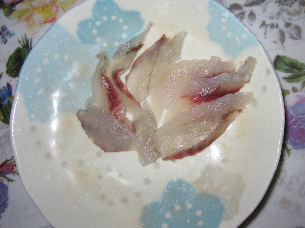 美味しいフナムシ フナムシ通信 美味しいフナムシ フナムシ通信