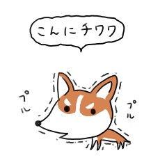こんにチワワ