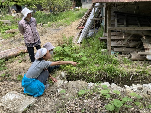 BBE8DDA0-E027-472B-81DE-D3A27A3847BB