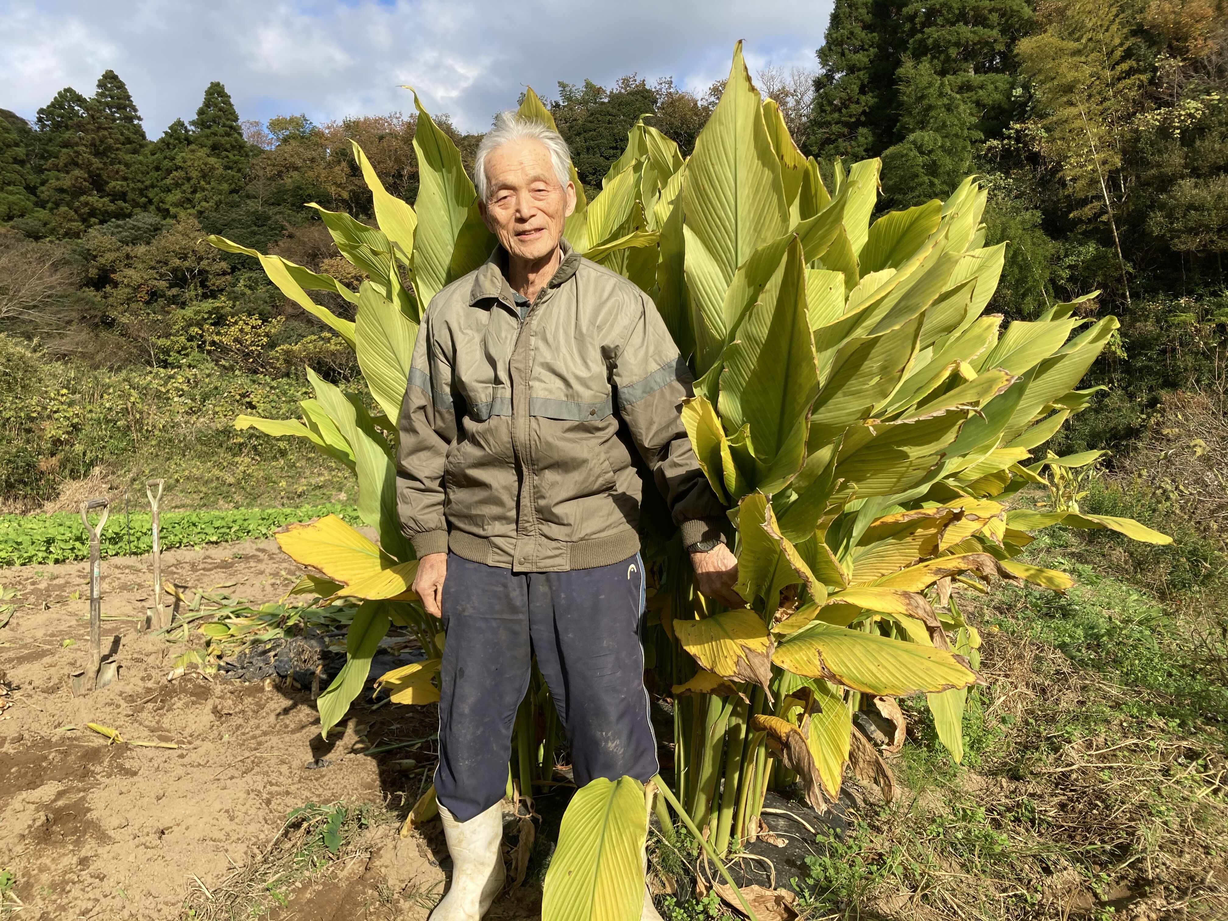 ウコン生産組合の田中さんに会いに行ってきました 長南町地域おこし協力隊 さっちゃんのブログ