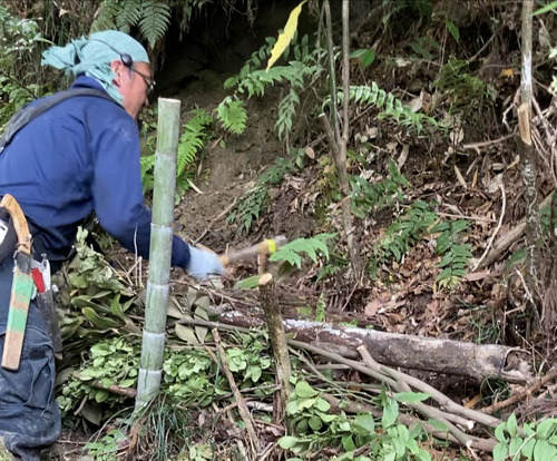 6E48BEBE-2761-4BDB-ABBC-4B734A4A4052