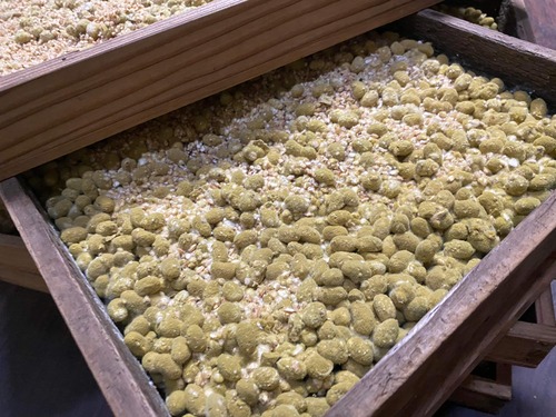 C288F313-7069-446C-9A9B-EE0521F0D4BD