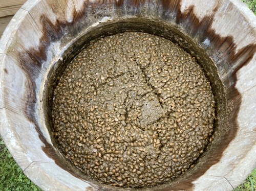 43EC426F-5B15-4462-9659-C07D31C8B3C5