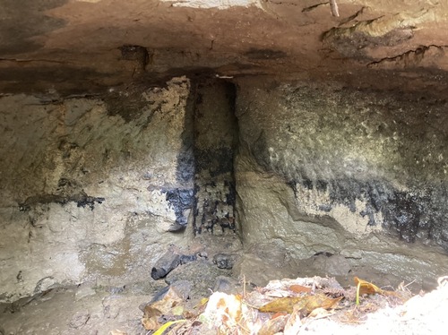 8EB30ED2-B075-4F15-87DD-072BF5C2B79A