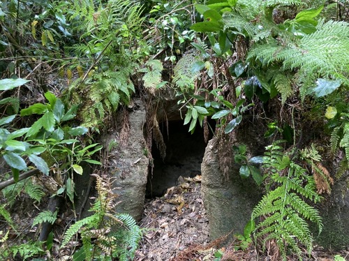 275D7AAC-7E24-4FCB-836D-3670088A30DE