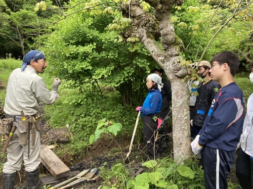 B0C77196-BE83-4701-A888-A3F0B54C8D14