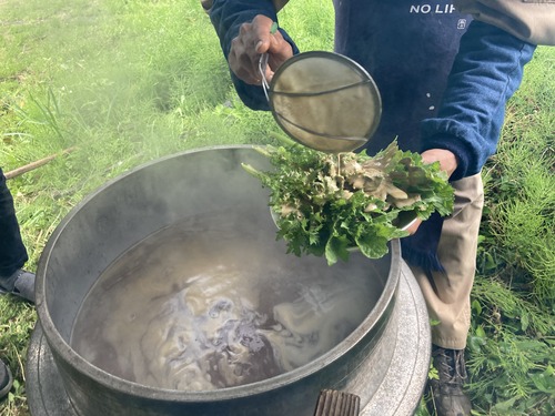 FC576385-79F2-40B1-BB9D-FD4FC0F5D686