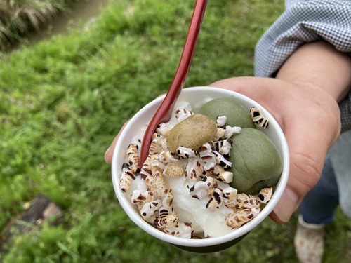 6C3E3F16-2CC5-4605-B6AE-8BDBB7A50579