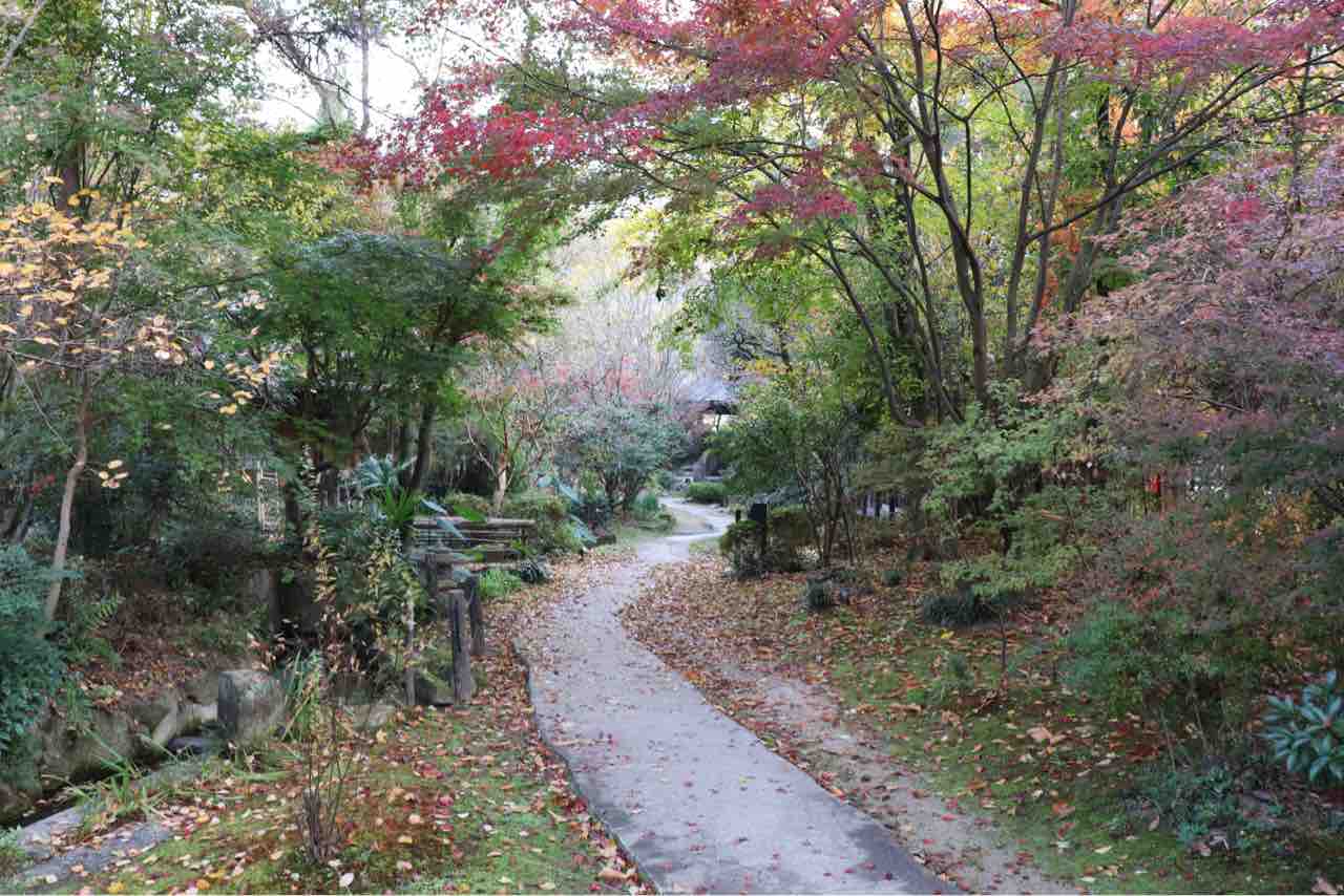 侘寂温泉巡り 郷緑温泉 郷緑館 岡山県真庭市 タコさんのオートコーナー 侘寂温泉巡り 郷緑温泉 郷緑館 岡山県真庭市 タコさんのオートコーナー