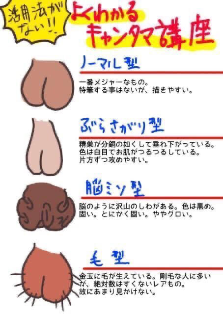 朗報 キンタマに毛が生えてる男 千人に数人の超レアだった 超陰キャ速報 記事コメント 1
