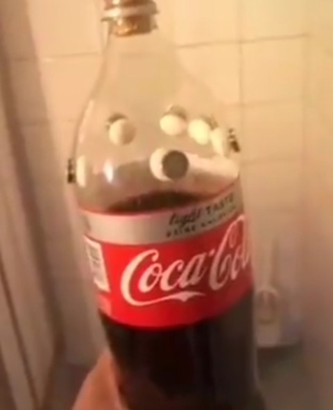 動画 外人 メントスコーラで家がぐちゃぐちゃになる 超陰キャ速報 記事コメント 1