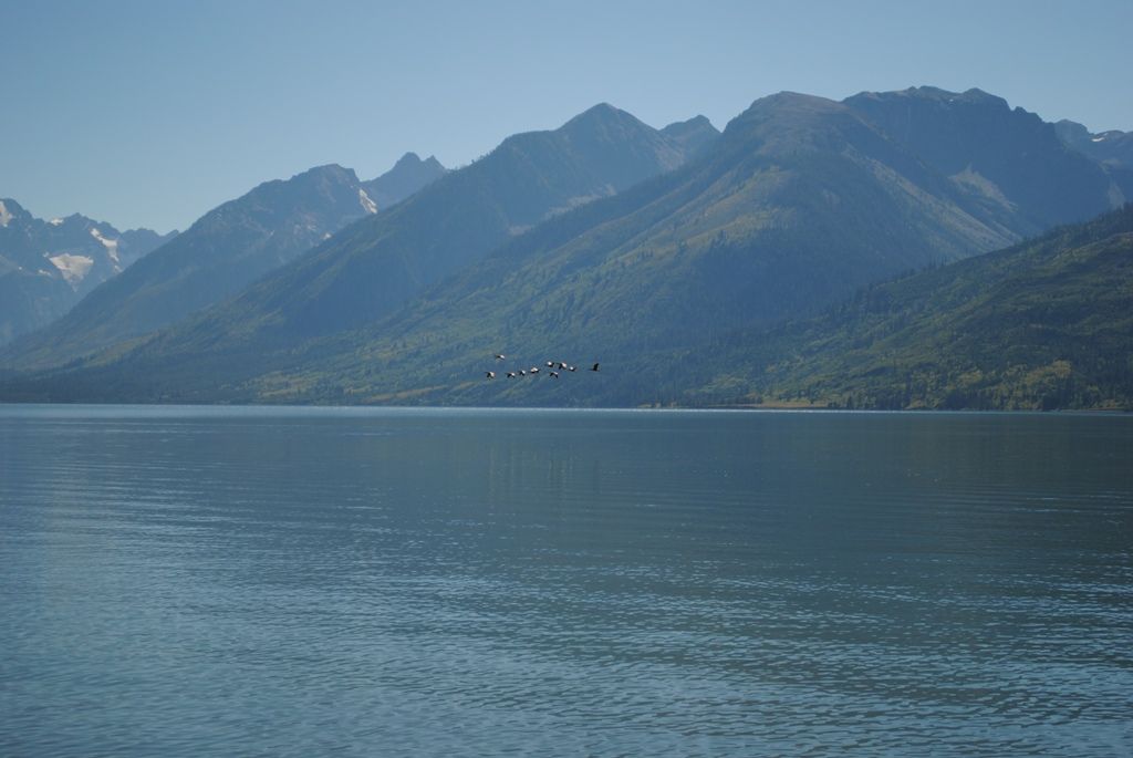 Yellow Stone Grand Teton 1日目 Yes We Live In Boston