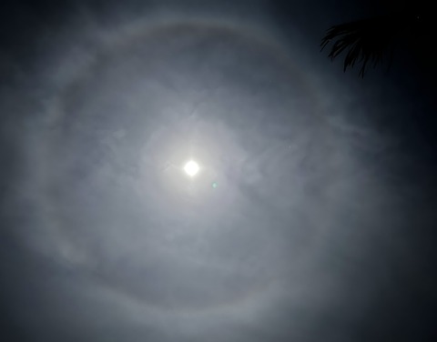 59B73BFB-D3B0-41CF-9336-E5D4508EC255