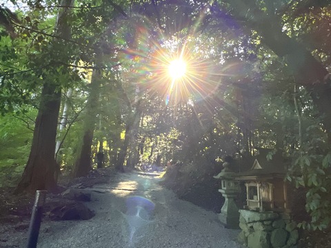 1B51725C-A8E2-41B0-BA61-19E8410474EA