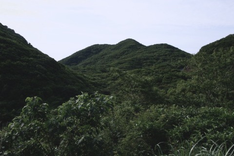 8E496A67-D9C0-4F9A-A881-AE57E6E317FD