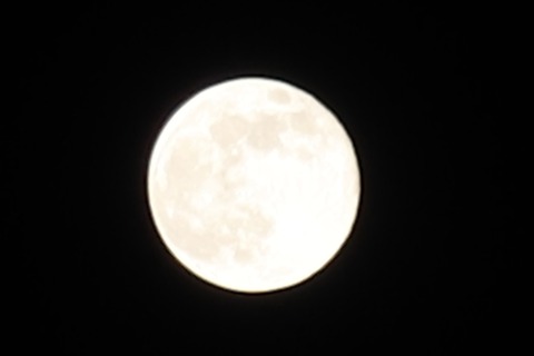 97D23D18-F25F-440A-97F5-A2BDA928AB02