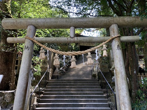 54829017-54EA-44C6-9508-F169FC60E0FA