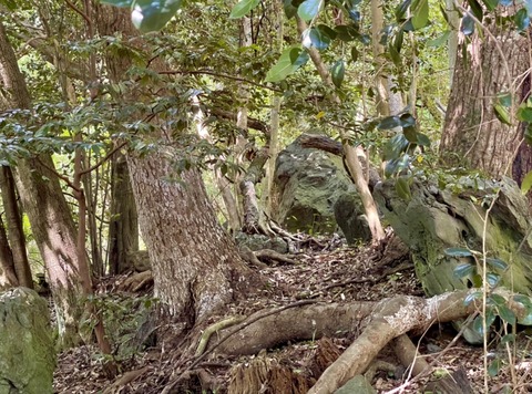 EEA7BDEA-42B8-4188-BEC5-EA686077D387