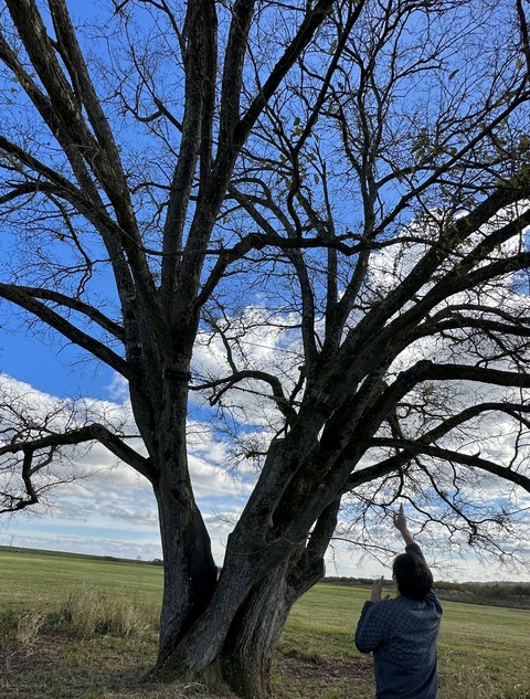 EBF6A8F3-1ABE-4CDB-987E-19AA89546286