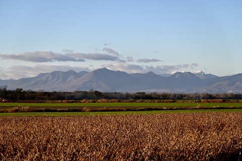 AD8AB7DF-EA3F-40DF-87EB-B81CC3DB96F2