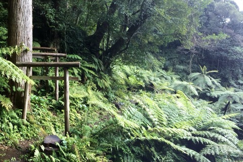 B9F98084-8649-4B4F-8E40-8CA76734B6EA