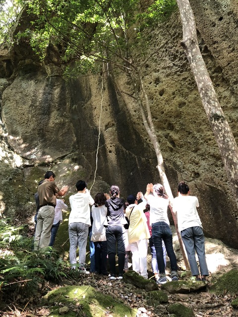 F31D31C1-C3C7-403F-A51A-009B23680A20